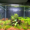 Miniature Rock Garden Betta Tank - Image 2