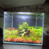 Miniature Rock Garden Betta Tank - Image 4